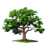 AI generated Odaa tree